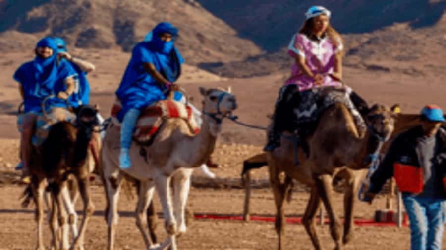 Marrakech Adventure: Paragliding, Camel Ride & Breakfast - From Marrakech to a Berber breakfast in the High Atlas