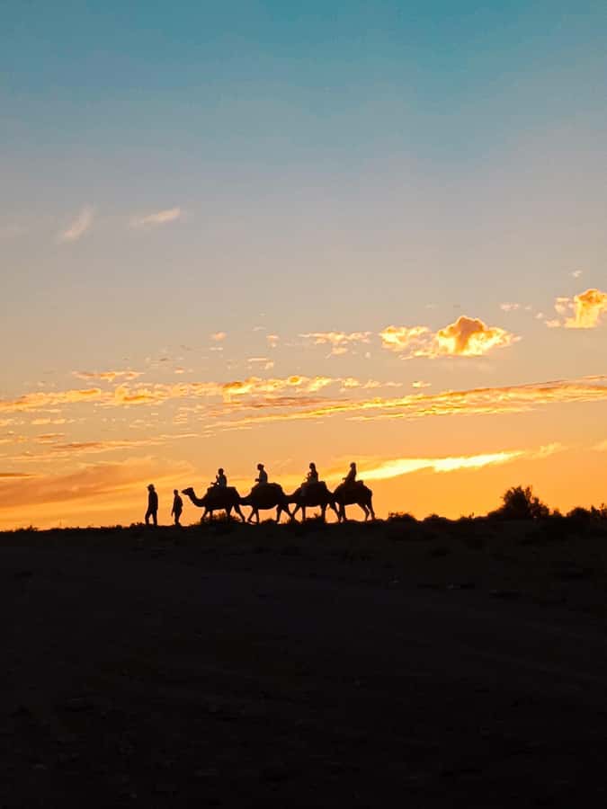 Marrakech: Agafay Camel Ride & Dinner with Fire Show Tour - Key points to know before booking