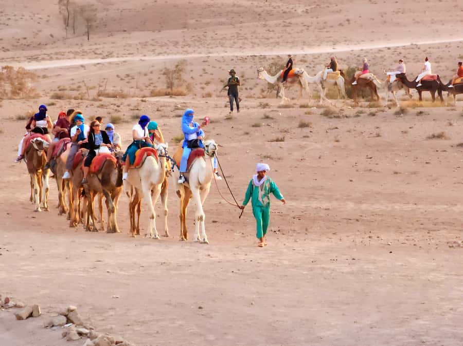 Marrakech: Agafay Camel Ride & Dinner with Fire Show Tour - Moroccan dinner, mint tea, and group seating