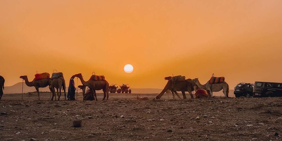Marrakech: Agafay Camel Ride & Dinner with Fire Show Tour - Families, couples, and solo visitors