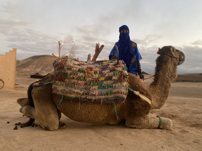 Marrakech: Agafay Desert Buggy Tour with Transfer - Tea, photographs, and a pause in the dust