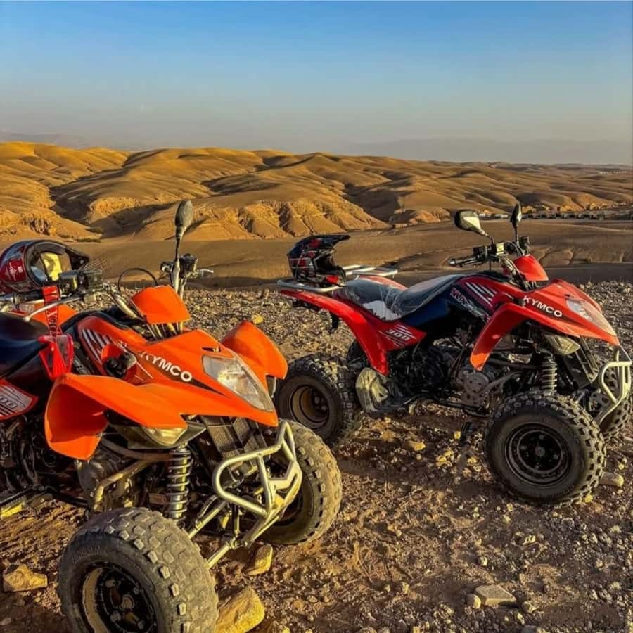 Marrakech: Agafay Desert Camel, Quad Bike & Dinner Show - Who should book this Agafay evening?