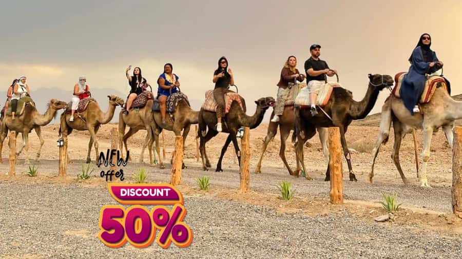 Marrakech: Agafay Desert Camel Ride, Dinner, Fire Show - A seasonal pool offers a welcome change of pace