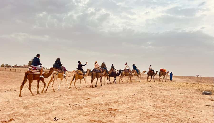 Marrakech: Agafay Desert Camel Ride, Dinner, Fire Show - The fire show gives the evening its big finish
