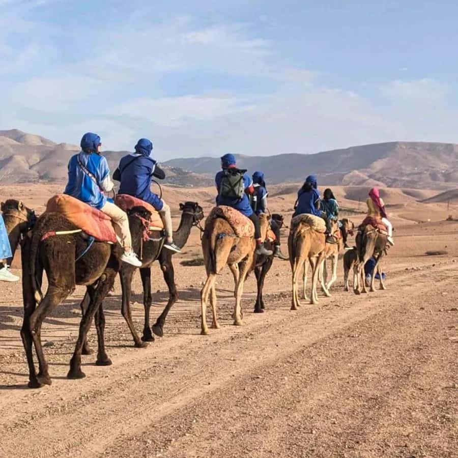 Marrakech: Agafay Desert Camel Ride & Quad with Dinner Show - Sunset over the Atlas Mountains
