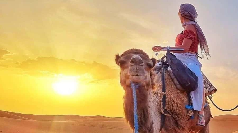 Marrakech Agafay desert: Camel Ride, Sunset, Dinner show - Moroccan dinner under the stars