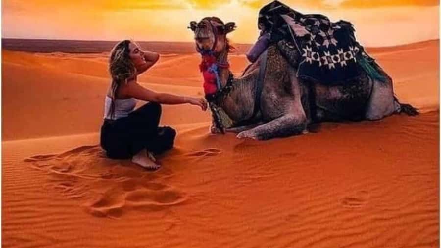 Marrakech Agafay desert: Camel Ride, Sunset, Dinner show - Is $10 a good value?
