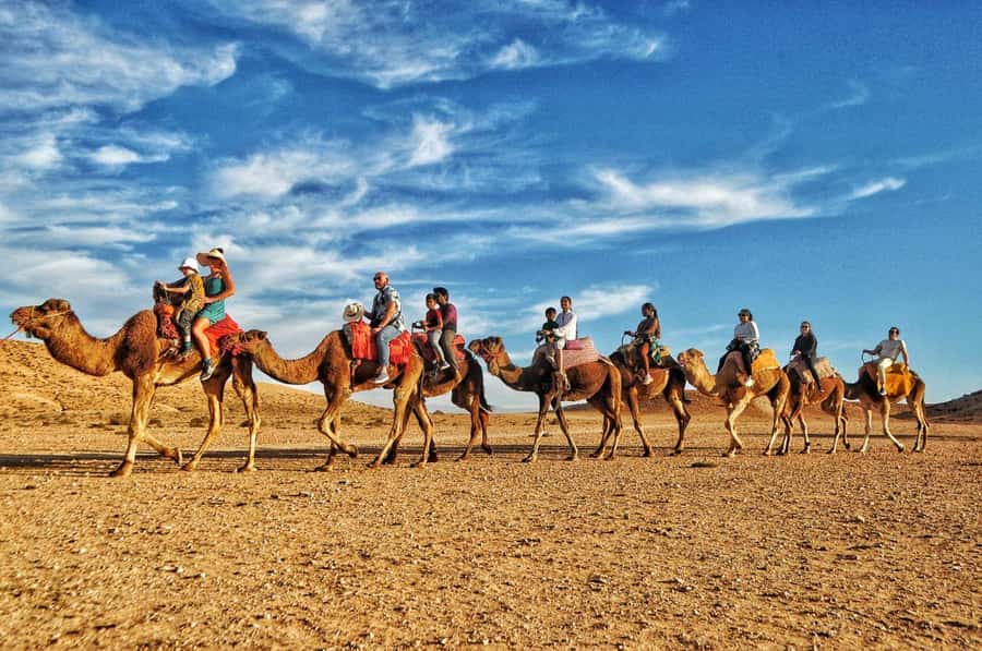 Marrakech Agafay desert: Camel Ride, Sunset, Dinner show - Who should book this evening?