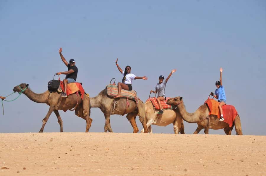 Marrakech Agafay desert: Camel Ride, Sunset, Dinner show - The 30-minute camel ride at sunset