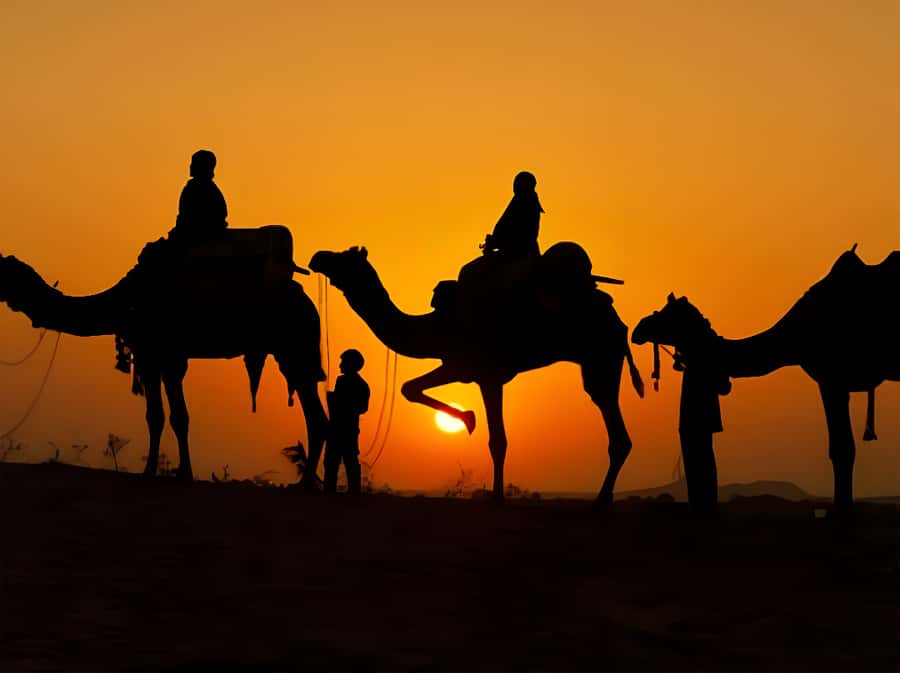 Marrakech: Agafay Desert Camel Ride with Dinner & Show - Who will enjoy this Agafay evening