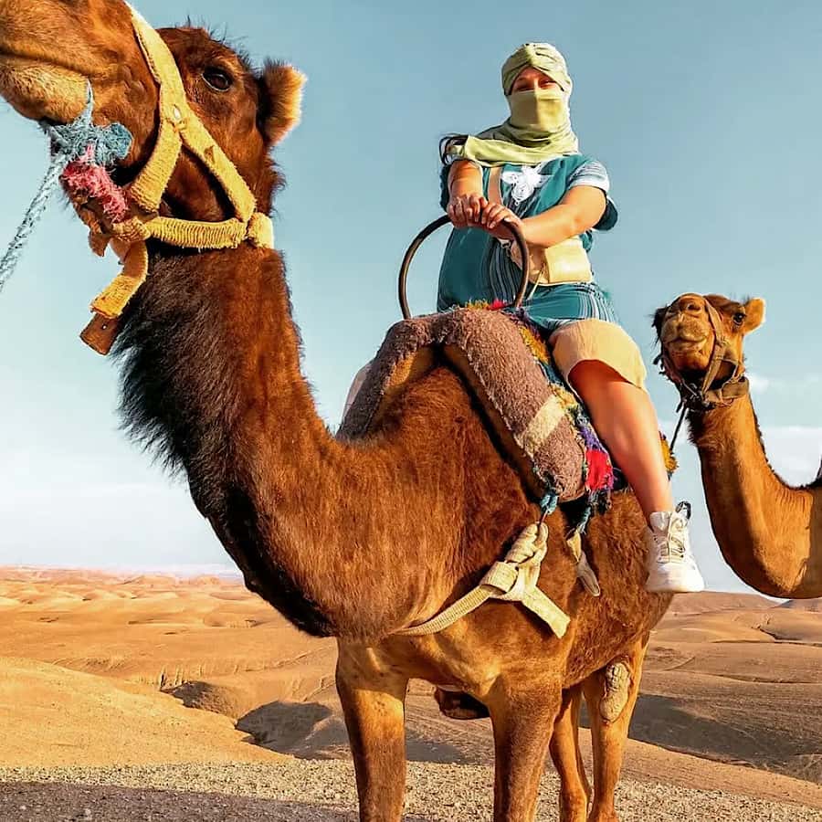 Marrakech: Agafay desert camel ride with dinner & spectacle - Mint tea and the camp welcome