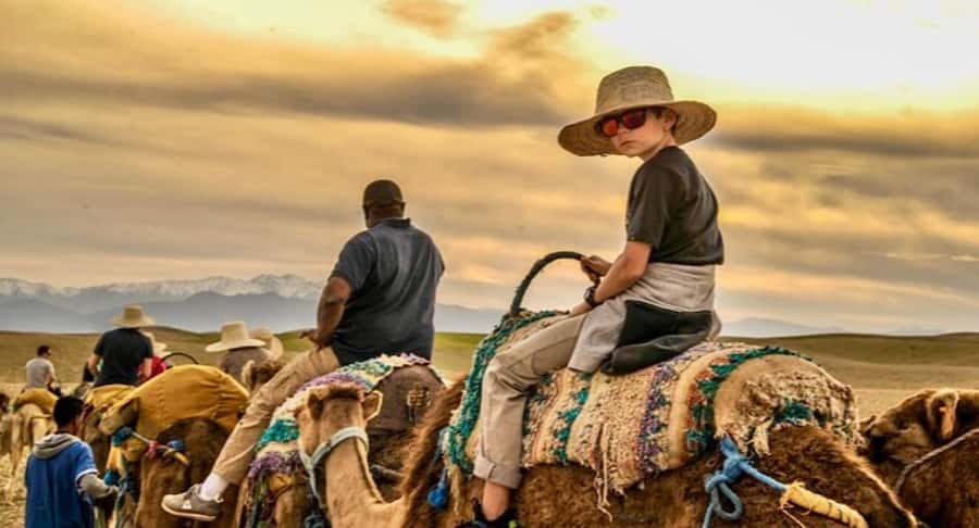 Marrakech: Agafay desert camel ride with dinner & spectacle - Pickup from Marrakech and the drive out