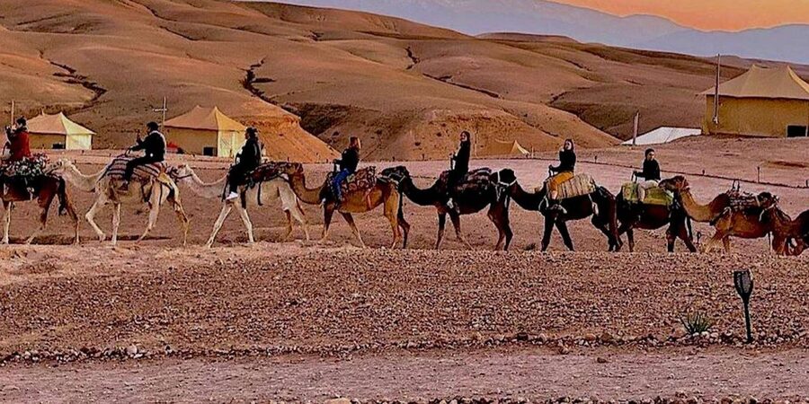 Marrakech: Agafay Desert Camel Rides, Dinner and Fire Show - Dinner under the stars