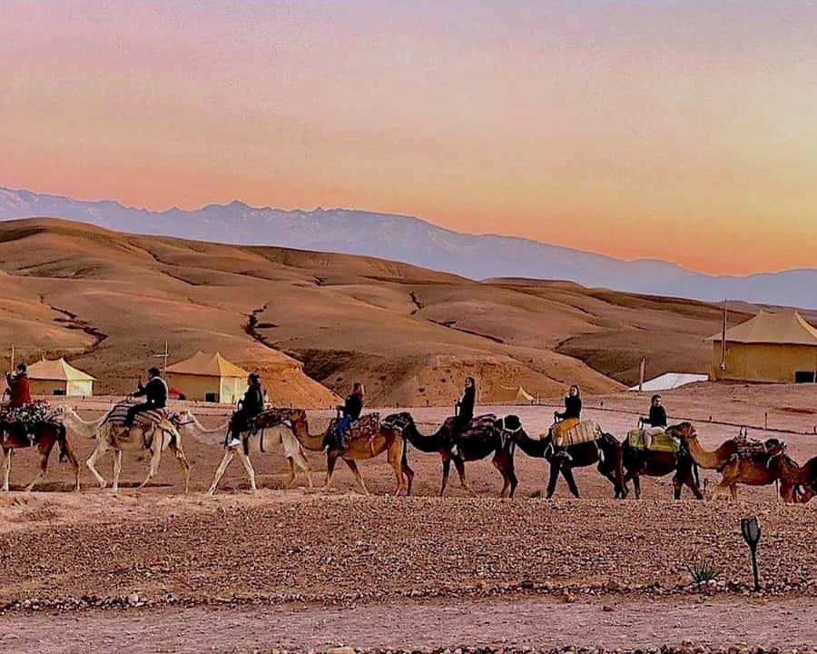 Marrakech: Agafay Desert Camel Rides, Dinner and Fire Show - The guides and the human side of the trip