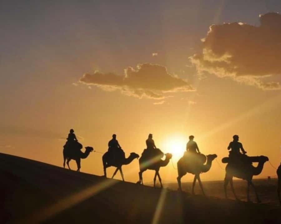 Marrakech: Agafay Desert Camel Rides, Dinner and Fire Show - Is $33 good value?