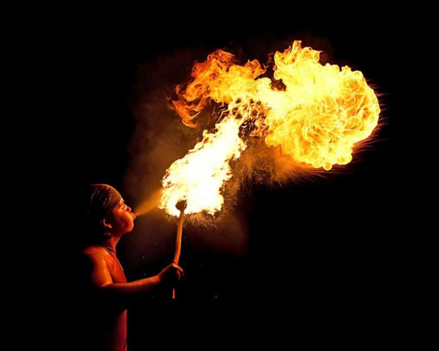 Marrakech: Agafay Desert Camel Rides, Dinner and Fire Show - Who should book this Agafay evening?