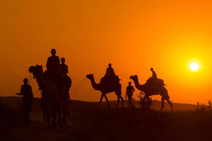 Marrakech: Agafay Desert Dinner, Camel Ride, and Music Show - From Marrakech to the Agafay Desert