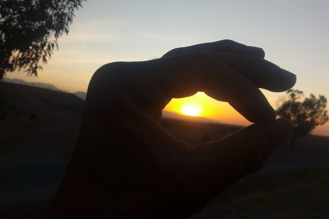 Marrakech: Agafay Desert Dinner, Camel Ride & Quad Biking. - The argan oil cooperative visit
