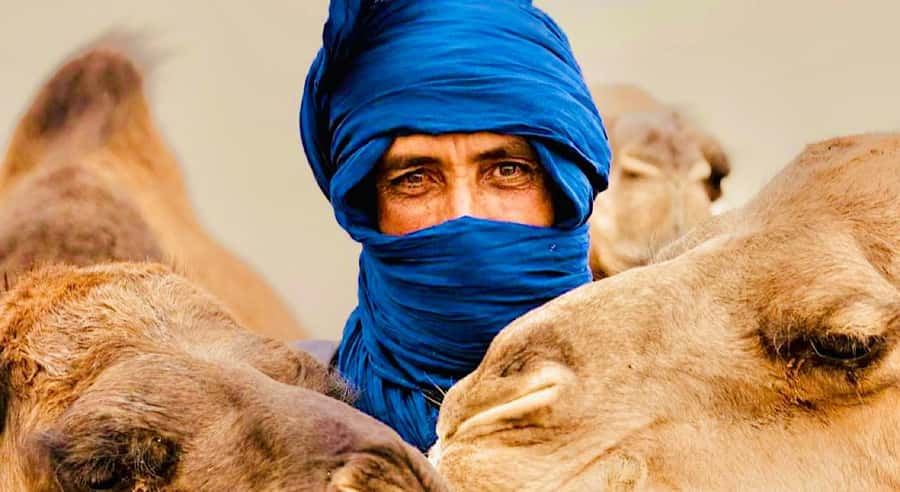 Marrakech: Agafay Desert Dinner, Camel Ride, & Show - Key points to know before booking