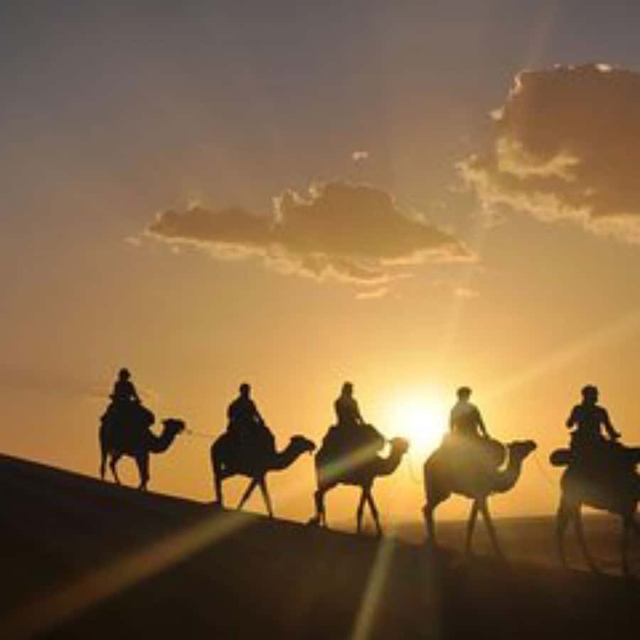 Marrakech: Agafay Desert Dinner with Music and Fire Show - Transport, timing, and group comfort