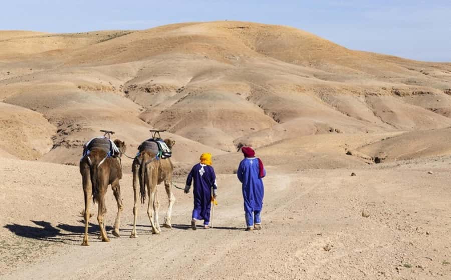 Marrakech: Agafay Desert, Lunch, Camel Ride, & Swimming Pool - Lunch brings tajine, bread, tea, and mountain views