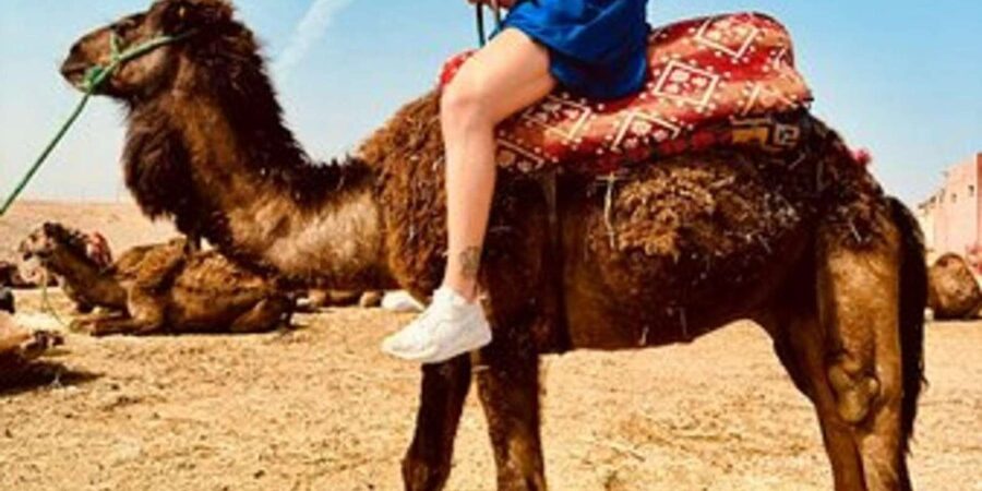 Marrakech: Agafay Desert Quad Biking with Dinner Show - How the guides affect the day