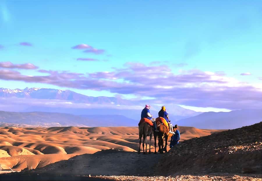 Marrakech: Agafay Desert Quad, Camel or Pool Day with Lunch - Choosing between the pool day and the evening desert program