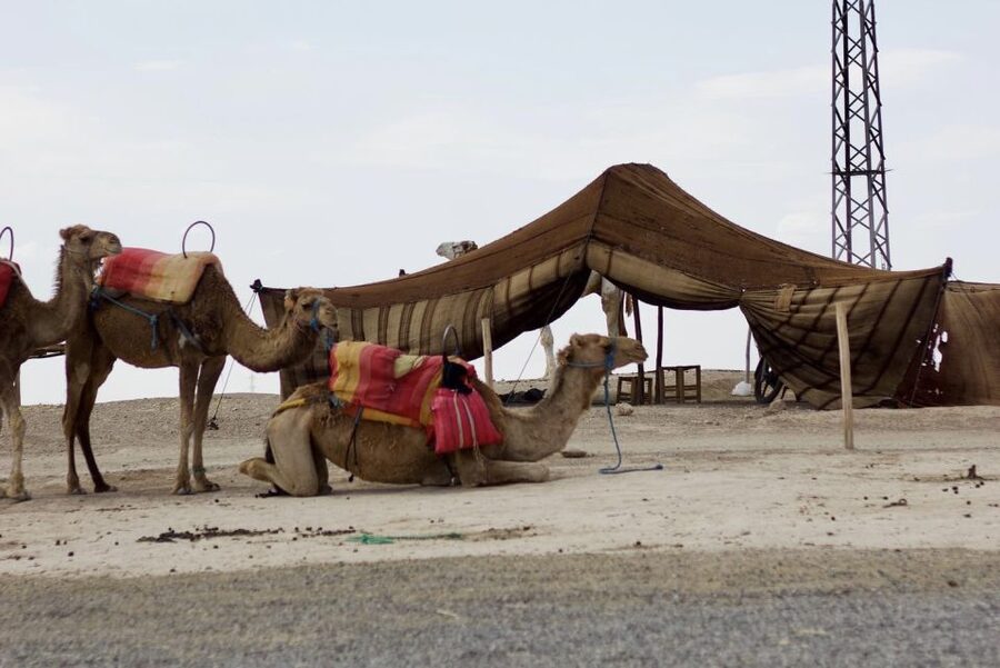 Marrakech: Agafay Desert Quad, Camel or Pool Day with Lunch - Music, dancing, and the candlelit evening