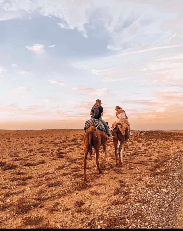 Marrakech: Agafay Desert Quad, Camel Ride & Dinner Show - How the five-hour schedule feels