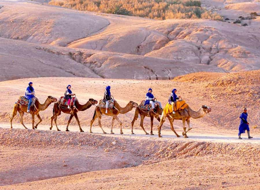 Marrakech: Agafay Desert Quad & Camel Rides with Dinner Show - Key points at a glance
