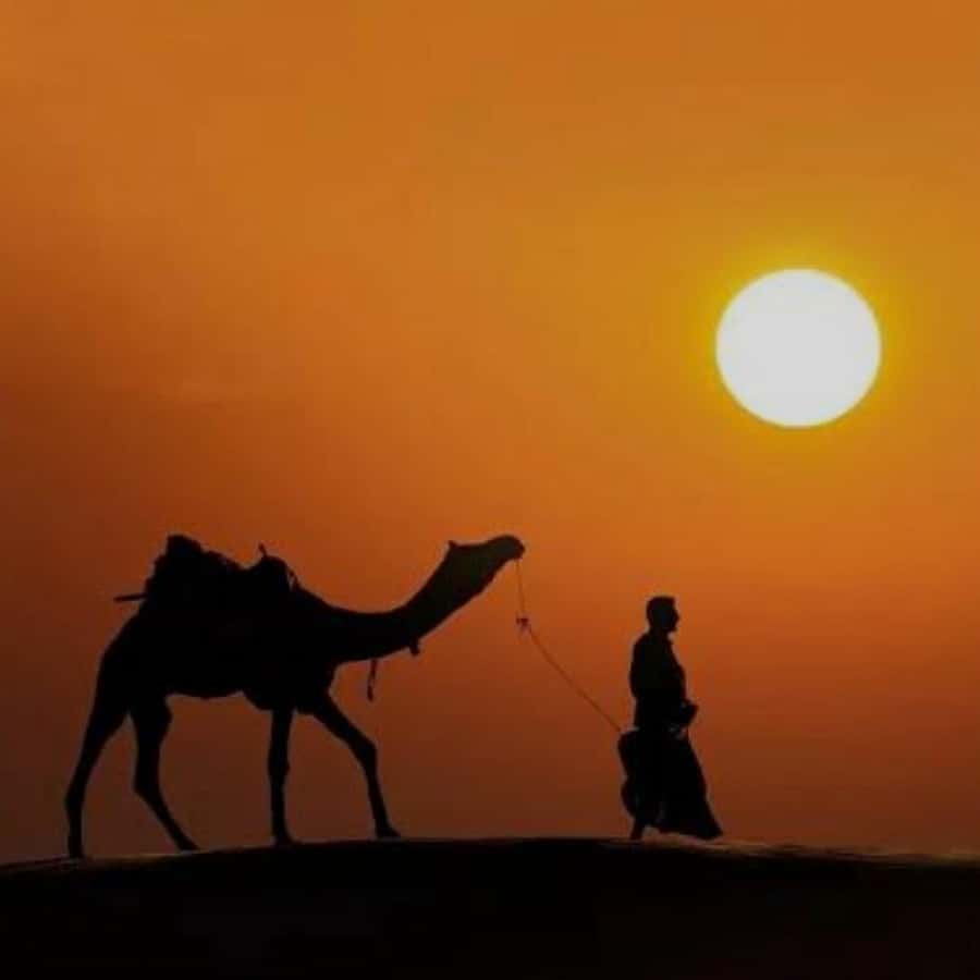 Marrakech: Agafay Desert Quad & Camel Rides with Dinner Show - The afternoon ride from Marrakech to Agafay