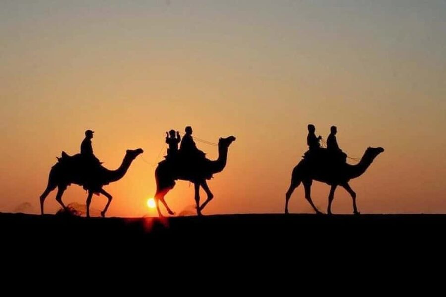 Marrakech: Agafay Desert Sunset, Camel Ride, Dinner and Show - Who will enjoy this trip most
