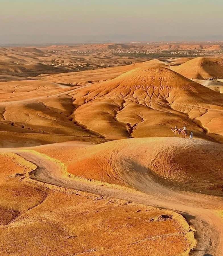 Marrakech : Agafay Desert Sunset Camel Ride & Luxury Dinner - Should you book the Agafay sunset dinner?