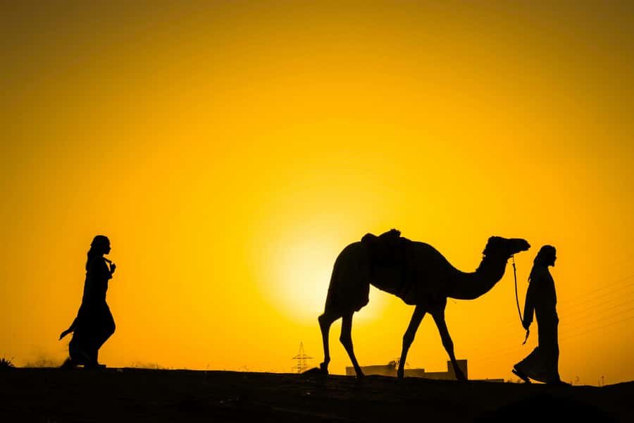 Marrakech : Agafay Desert Sunset Camel Ride & Luxury Dinner - Mint tea, safety instructions, and the activity question