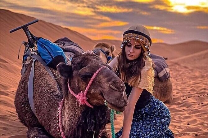 Marrakech: Agafay Desert, Sunset Camel Ride with Dinner Show - Who will enjoy this Agafay evening