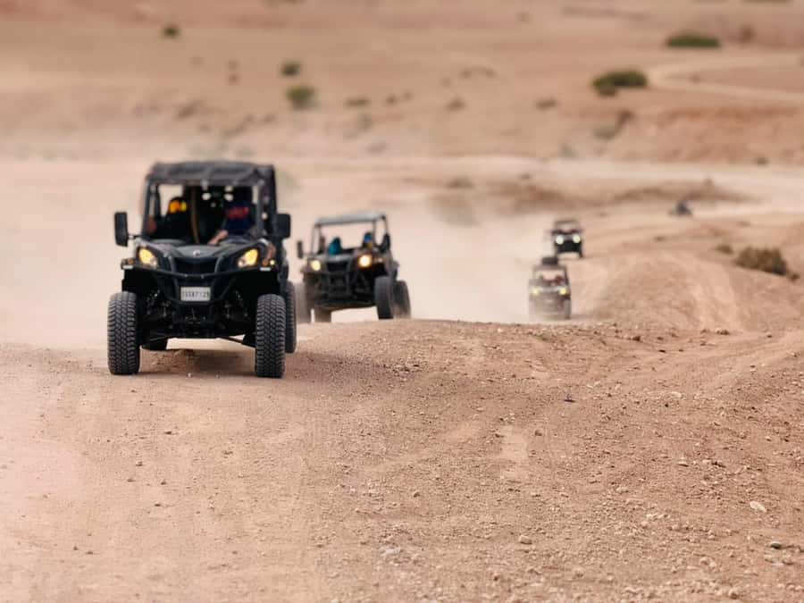 Marrakech: Agafay Dinner Show, Camel Ride, Quad, or Buggy - The argan oil cooperative adds local context