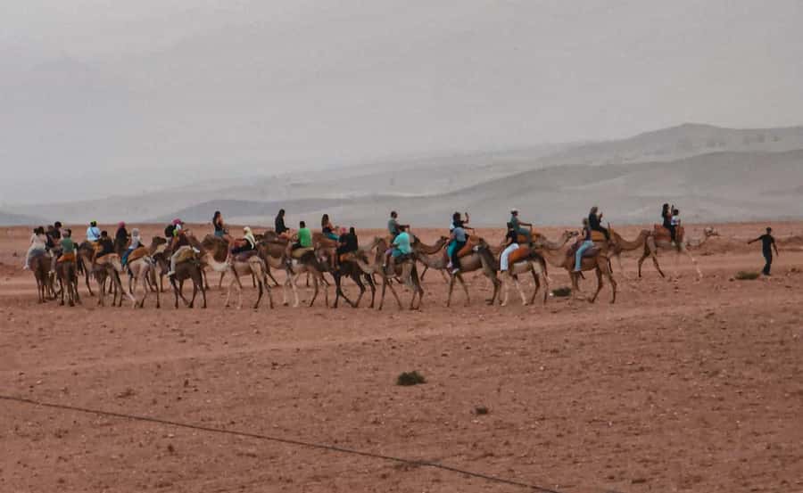Marrakech: Agafay Ds Sunset with Dinner, Show & Tuareg Music - Mint tea as the Agafay sky changes color