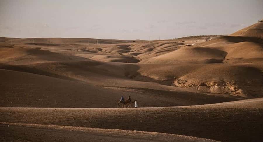 Marrakech: Agafay Ds Sunset with Dinner, Show & Tuareg Music - Who will enjoy this evening most