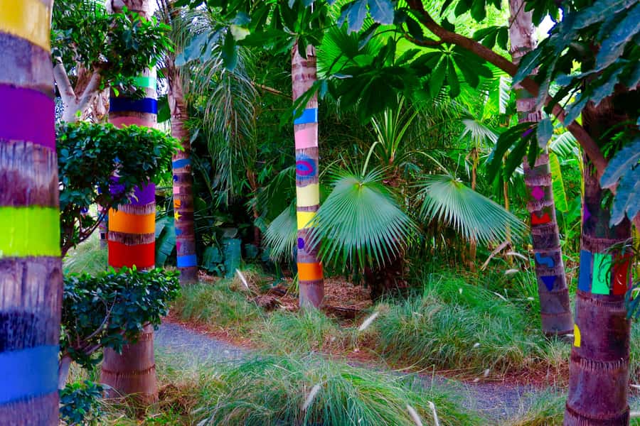 Marrakech: André Heller's ANIMA Garden Ticket - Should you book ANIMA Garden?