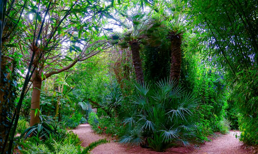 Marrakech: André Heller's ANIMA Garden Ticket - Is the $16 ticket good value?