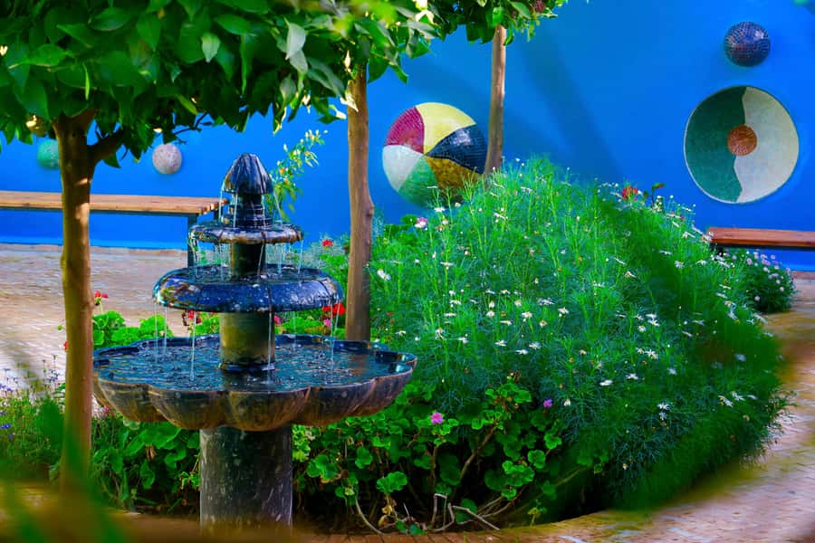 Marrakech: André Heller's ANIMA Garden Ticket - Who will enjoy this garden most?