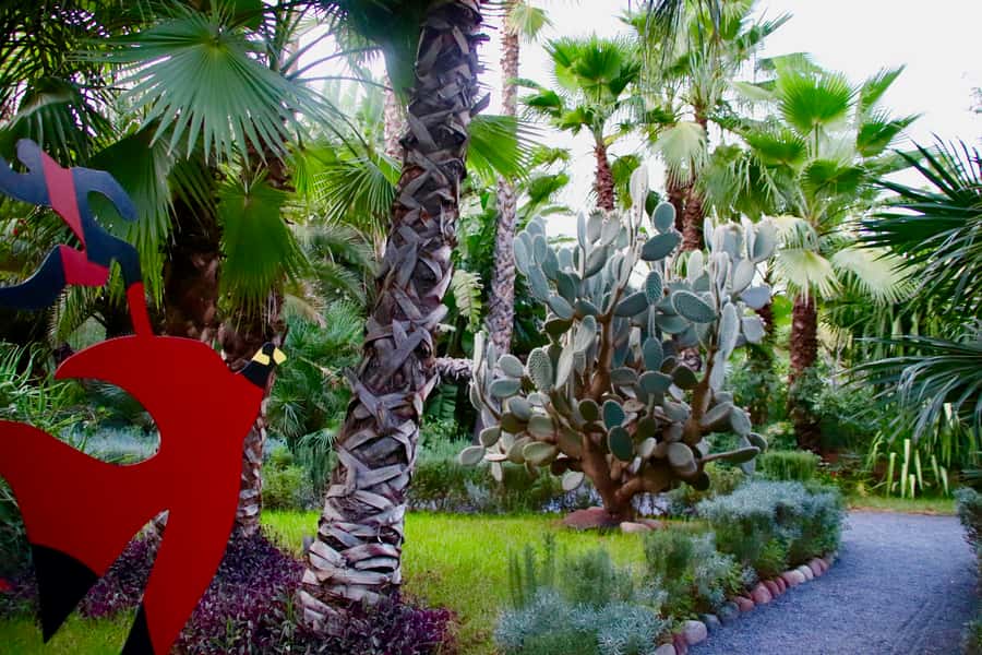 Marrakech: André Heller's ANIMA Garden Ticket - Small details that improve the visit