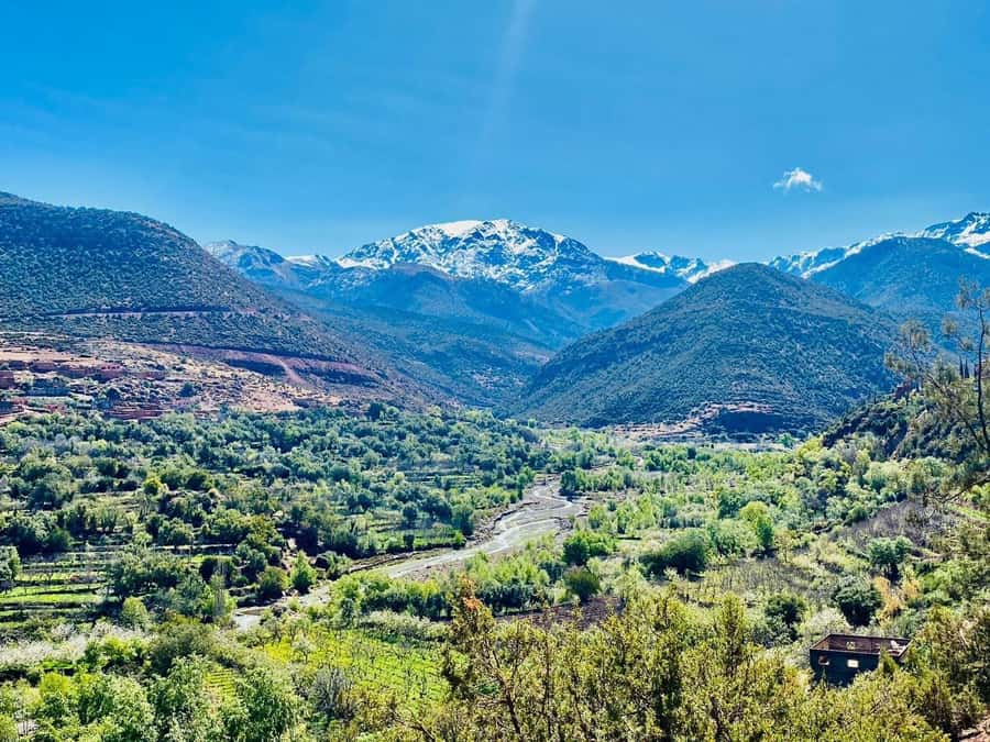 Marrakech: Atlas Mountain, Berber Villages, & Valleys Tour - Should you book this Atlas Mountains day trip?