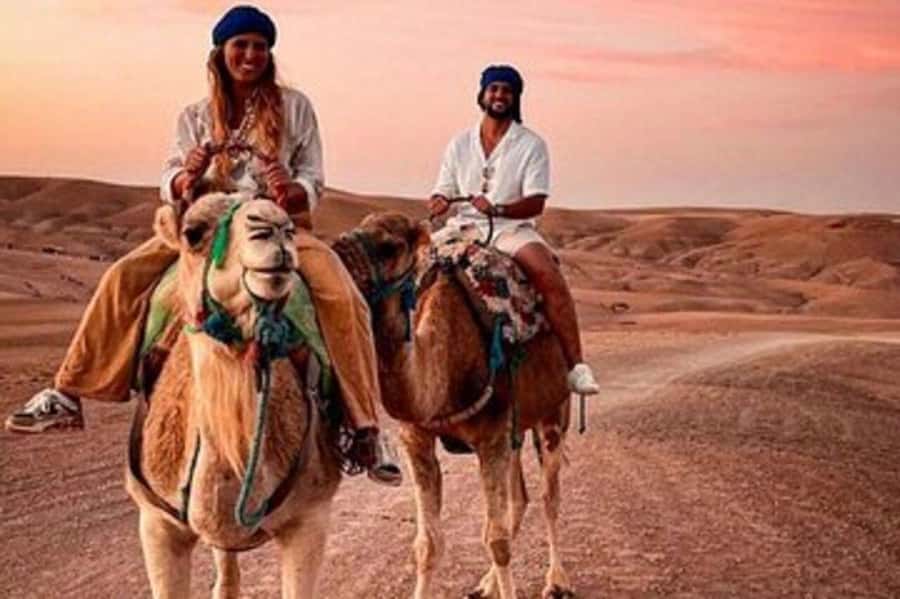 Marrakech: Atlas Mountain, Berber Villages, & Valleys Tour - Tea with a Berber family and lunch with a view