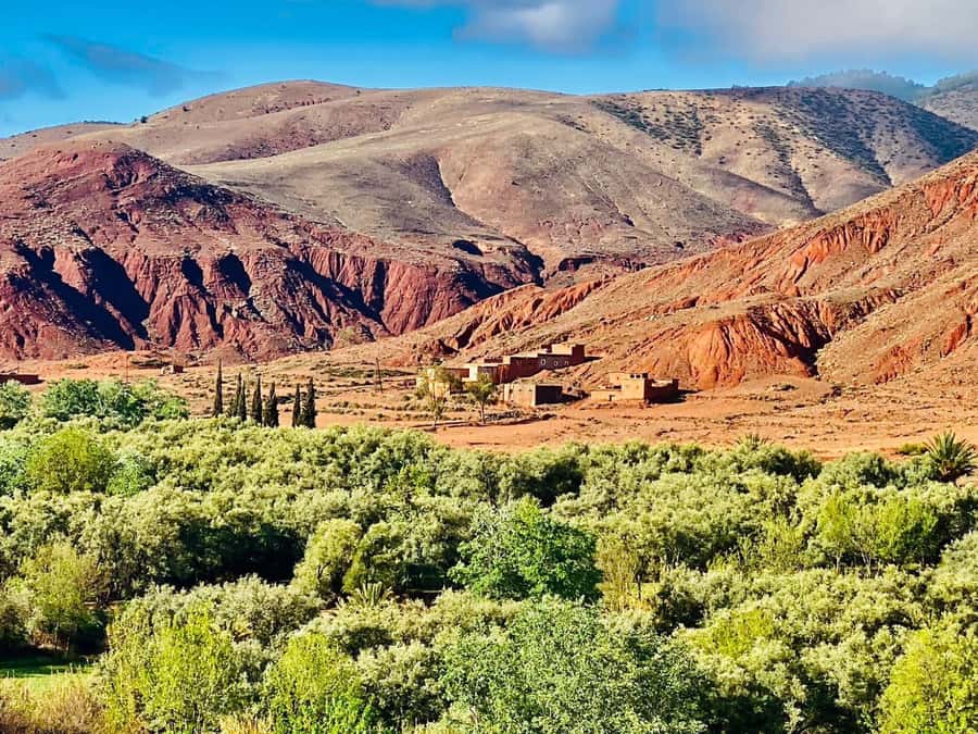 Marrakech: Atlas Mountain, Berber Villages, & Valleys Tour - A women-managed cooperative and a taste of village life