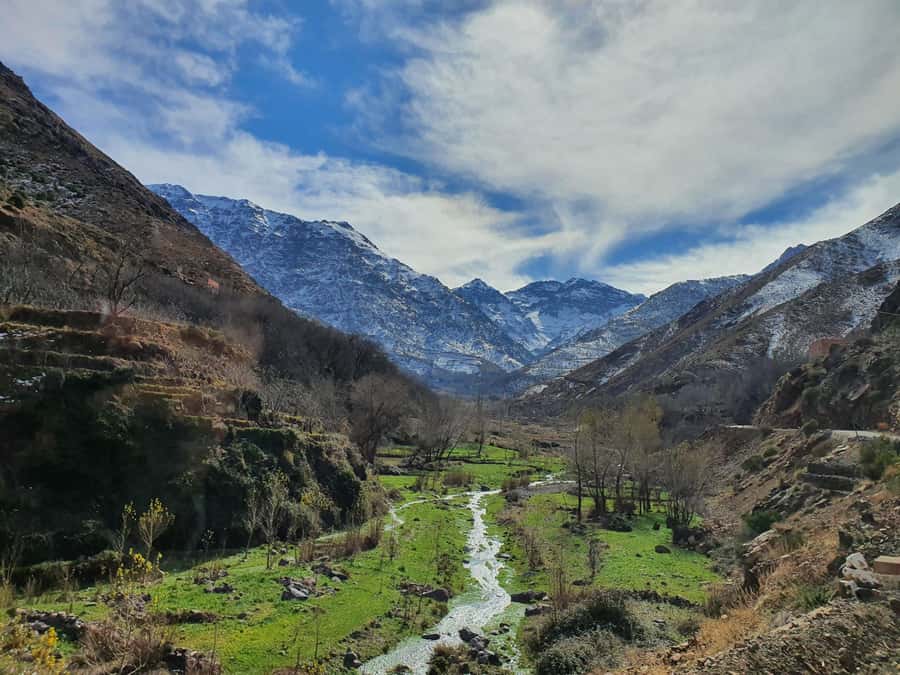 Marrakech: Atlas Mountains, Agafay Desert, Waterfall & Lunch - Market day in Morocco