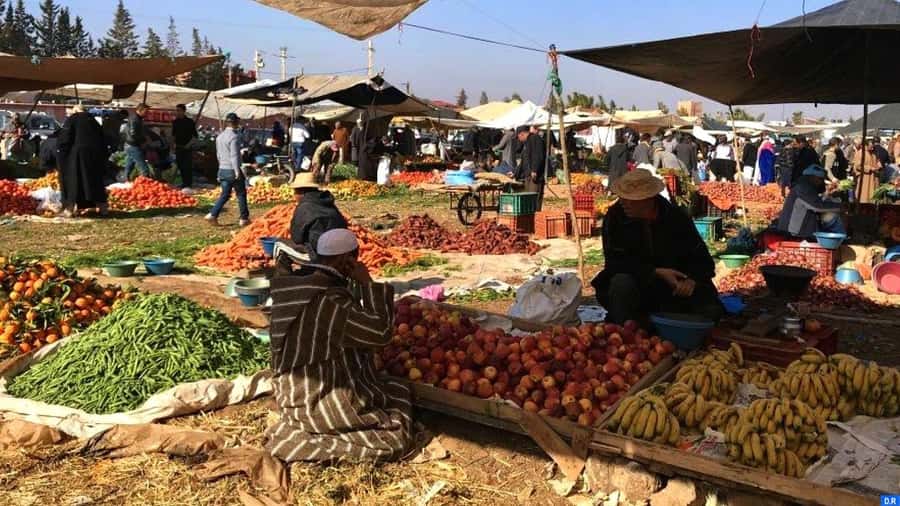 Marrakech: Atlas Mountains, Agafay Desert, Waterfall & Lunch - Timing, group size, and practical comfort