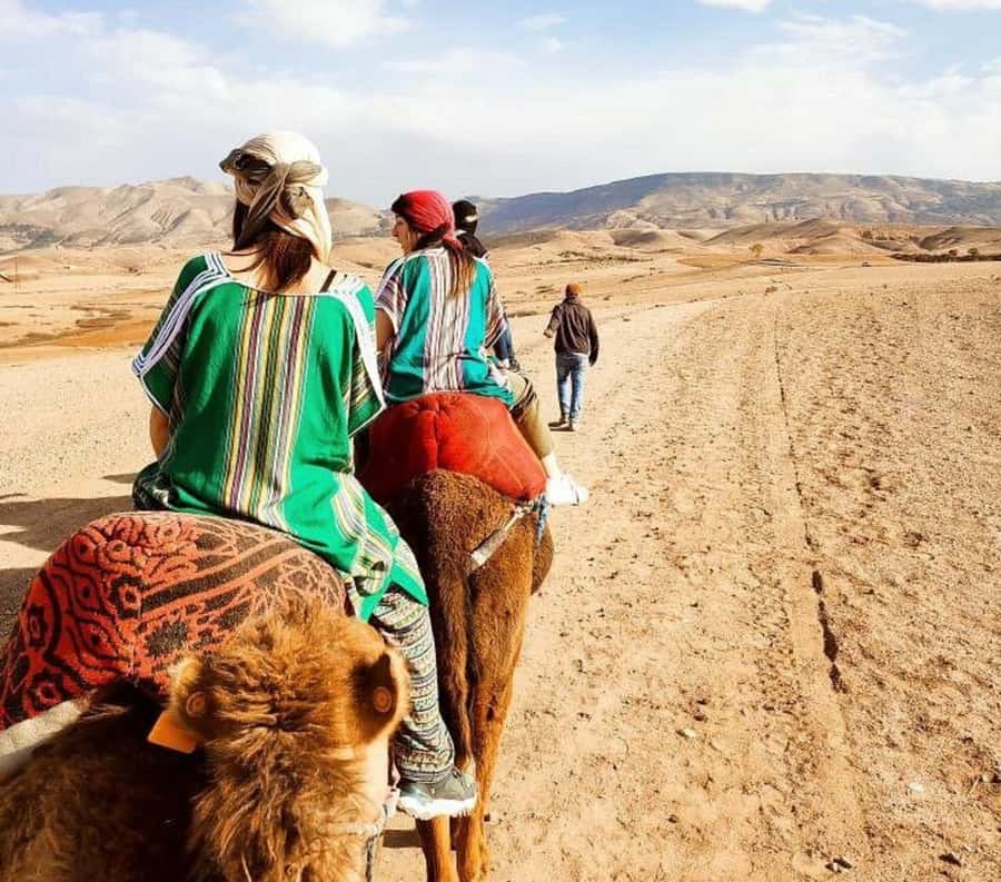 Marrakech: Atlas Mountains, Agafay Desert, Waterfall & Lunch - Lala Takerkoust and the camel ride