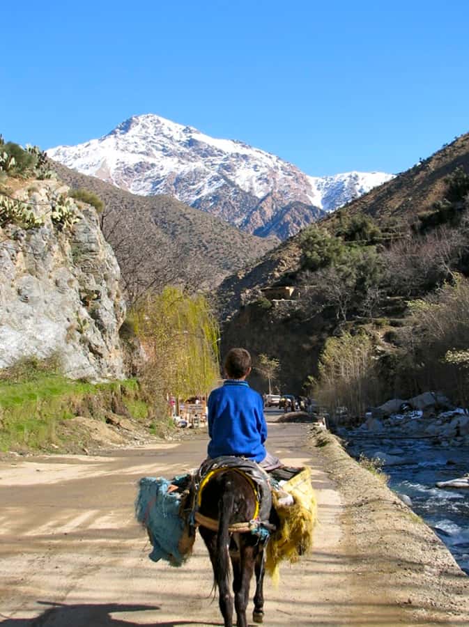 Marrakech: Atlas Mountains and Desert Safari with Lunch - The Berber lunch in Imlil