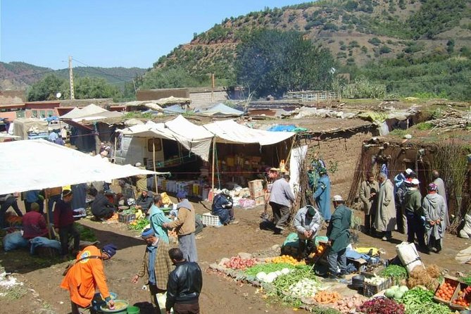 Marrakech: Atlas Mountains, Berber Villages, Agafay & Camel Ride - Kik Plateau at 1,800 meters